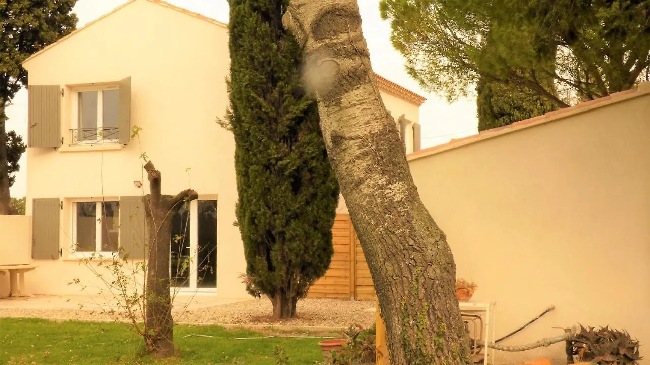 Mas Des Cypres, Clim - Jardin En Camargue Villa Arles